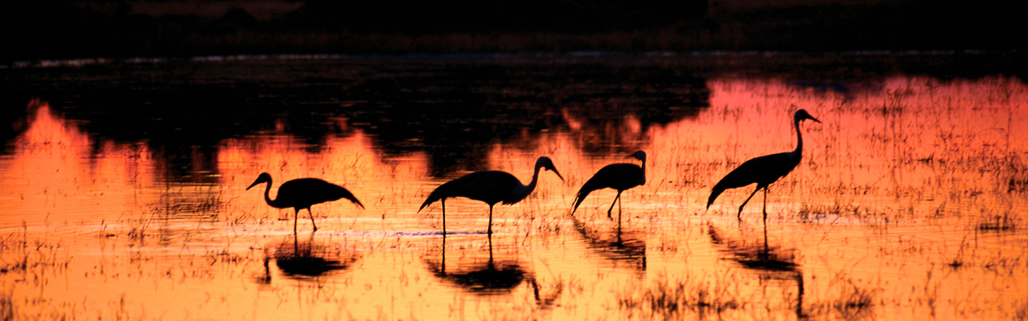 Blue Lagoon National Park - Monkey Trails Safaris