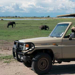 Chobe game drive