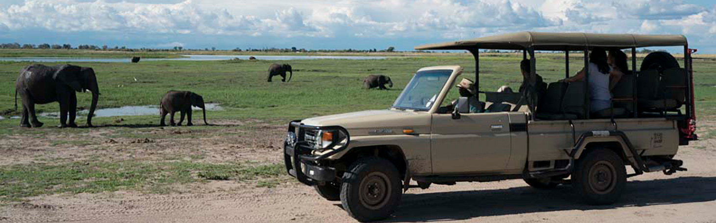 Chobe game drive